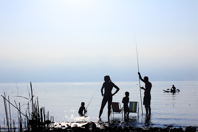 comping et la pêche