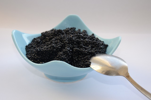 Le caviar et la santé : est-ce un aliment nutritif ?