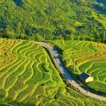 Raisons pour lesquelles le nord du Vietnam séduit tous les voyageurs