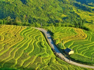 Raisons pour lesquelles le nord du Vietnam séduit tous les voyageurs