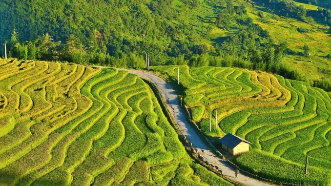 Raisons pour lesquelles le nord du Vietnam séduit tous les voyageurs