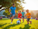 Ensemble sportif : l'harmonie entre jeu et famille